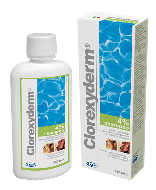 Clorexyderm shampoo 4%
