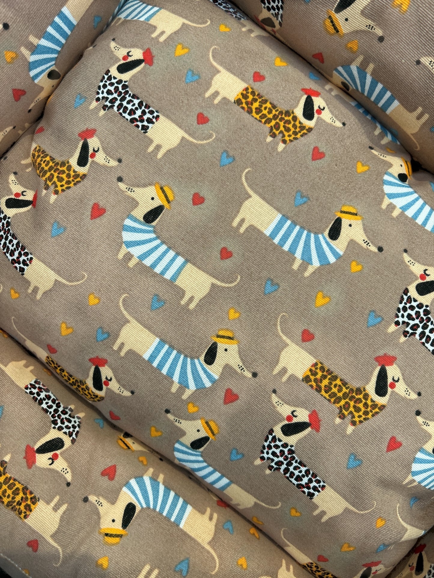 Cuccia Bassotti Beige
