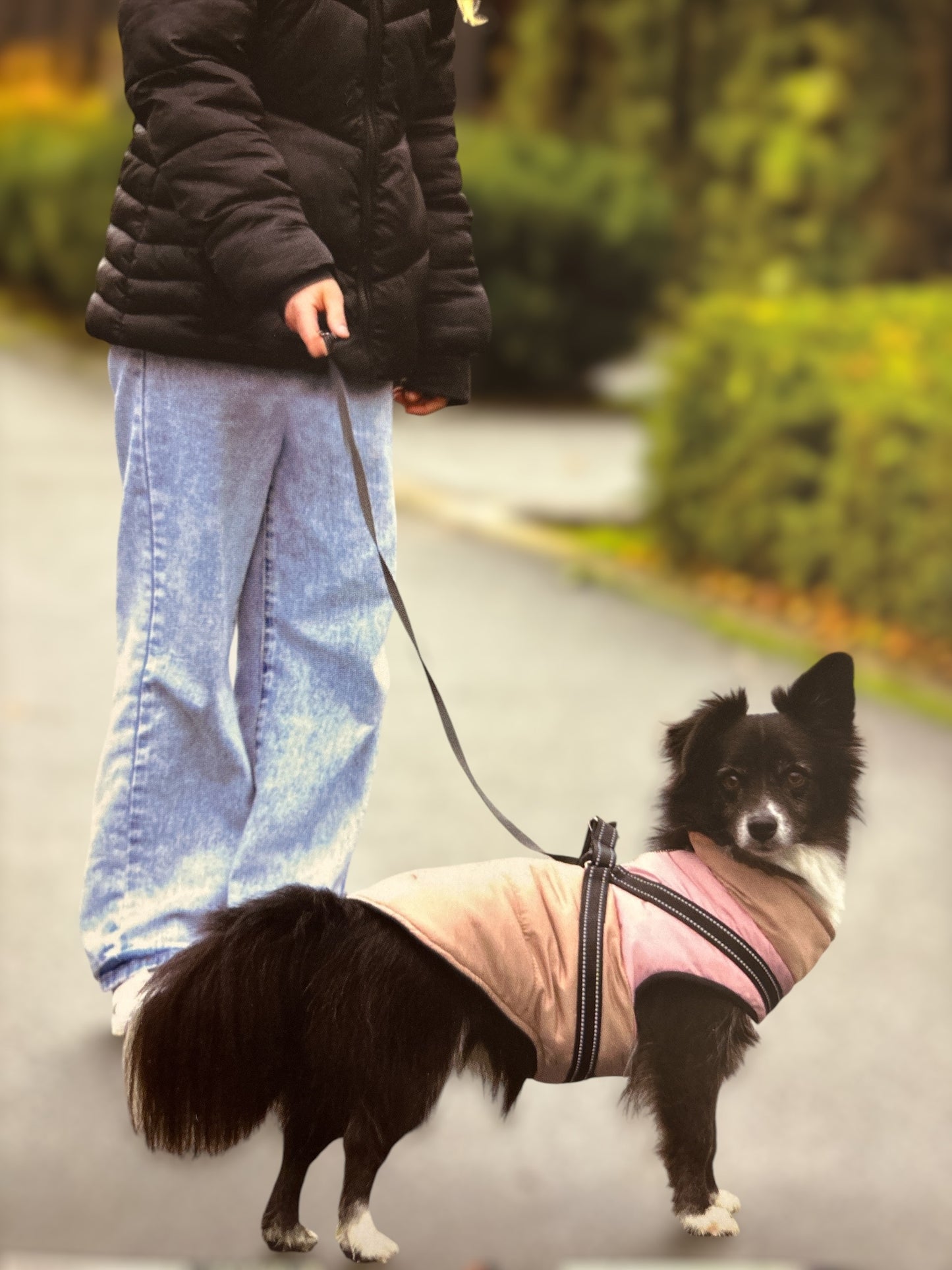 Giubbotto Balade Nero/Caramello