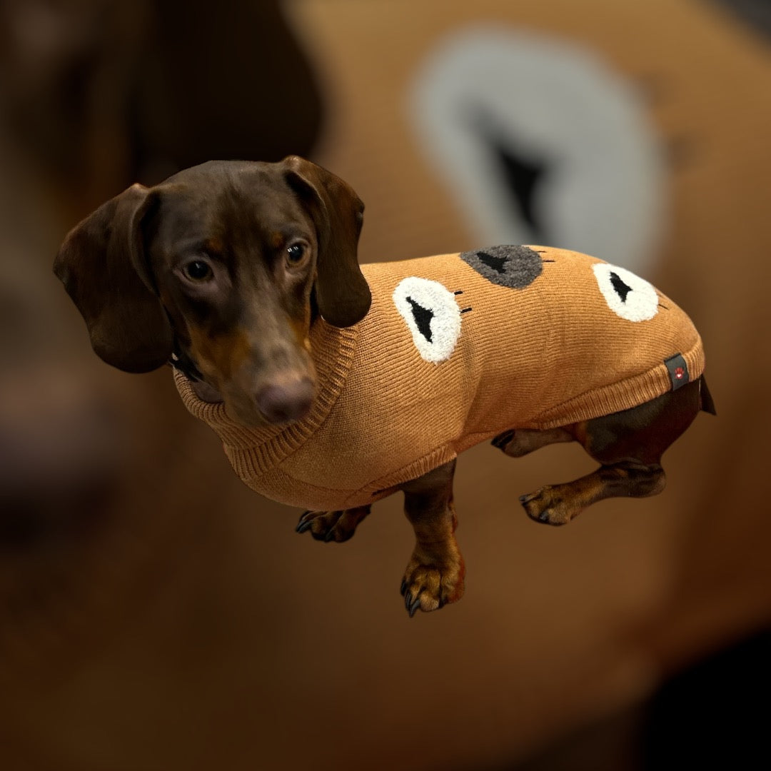 Maglioncino Dolly