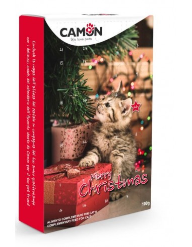 Calendario Dell'Avvento Gatto