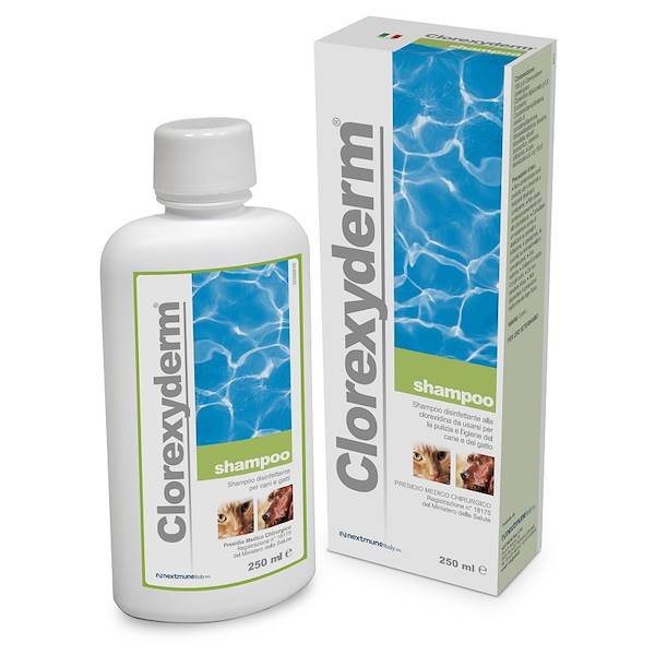 CLOREXYDERM SHAMPOO