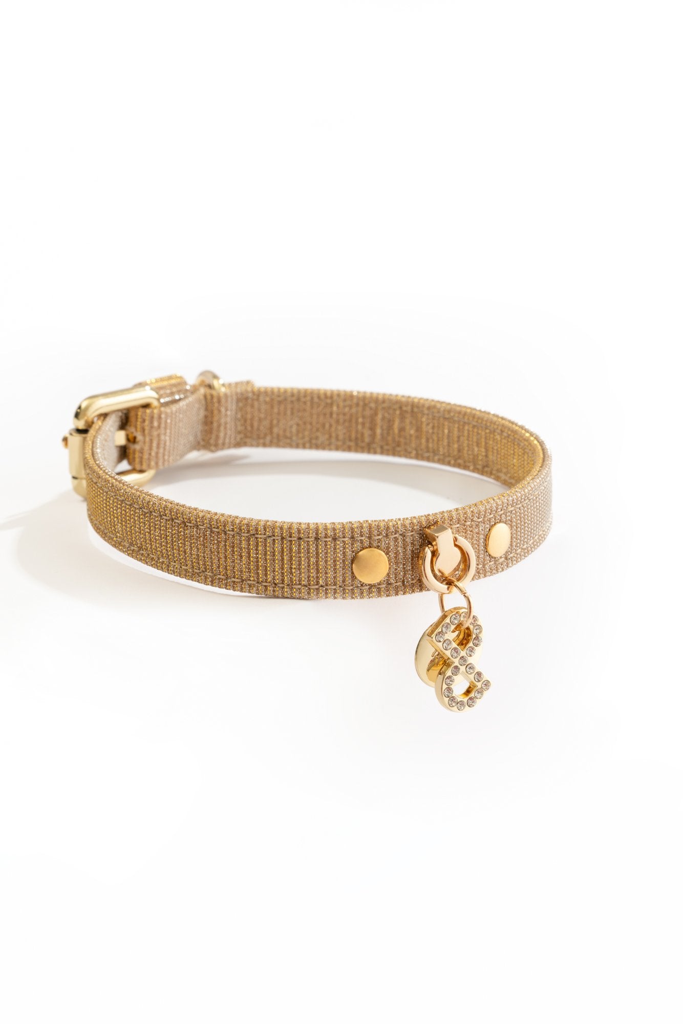 COLLARE PER CANI IN LUREX ORO