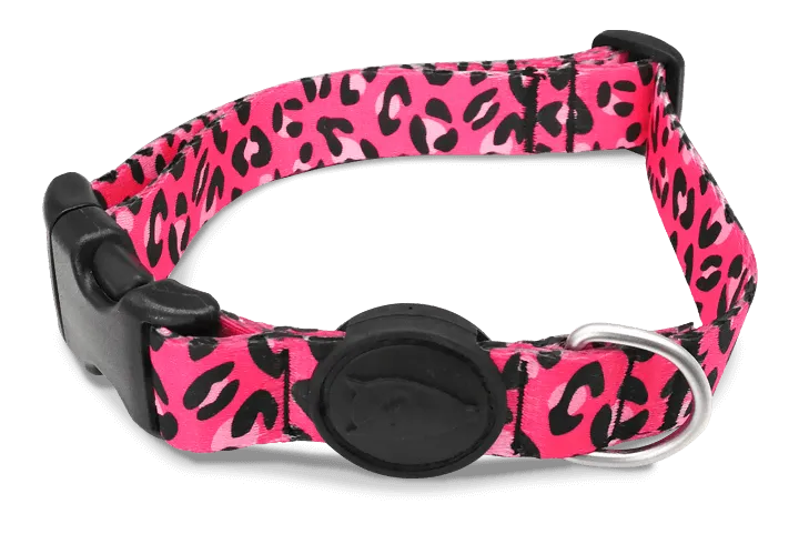 Collare Bubble Leo