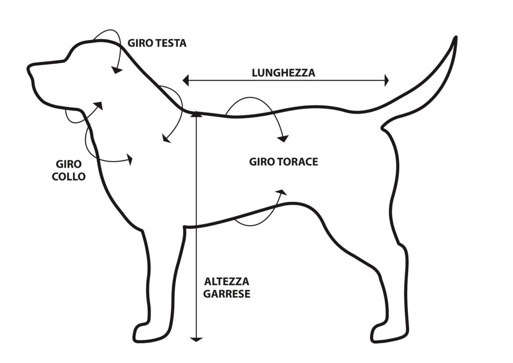 Giubbotto Net