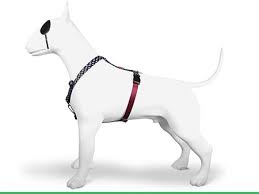 Pettorina H POWER FLOW