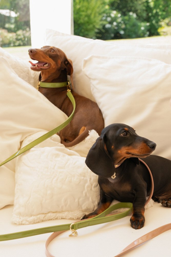 GUINZAGLIO PER CANI IN VERNICE CON FINITURE ORO FUCSIA