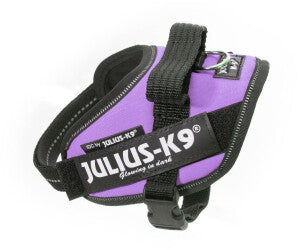 Pettorina Julius-K9 Lilla