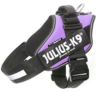 Pettorina Julius-K9 Lilla