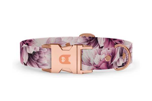 Collare Basic Magnolia