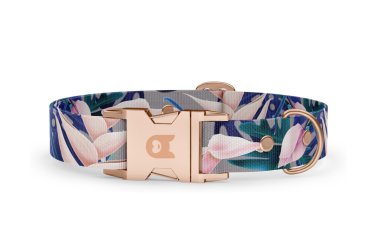 Collare Basic Tropical