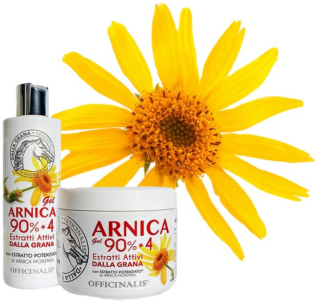 Arnica gel 90%