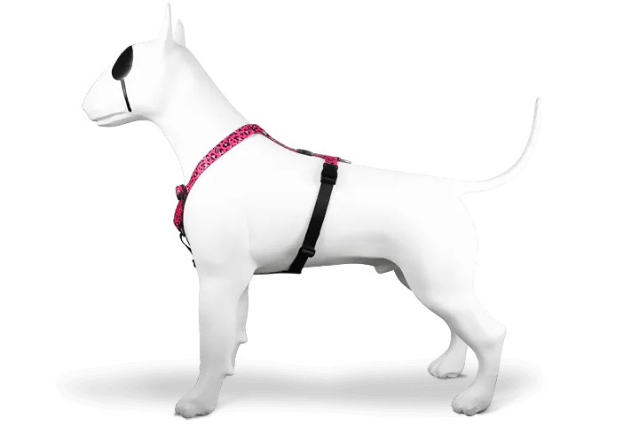 Pettorina H BUBBLE LEO