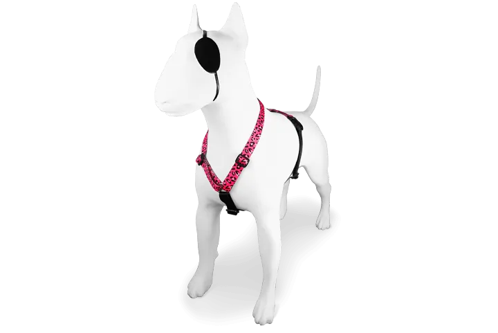 Pettorina H BUBBLE LEO