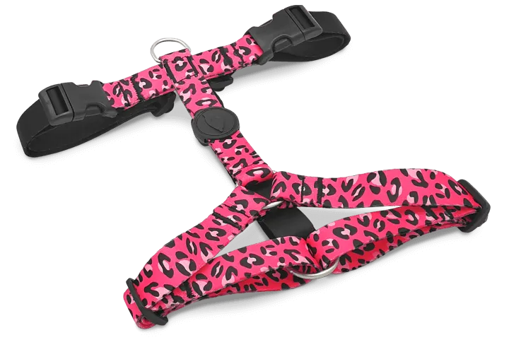 Pettorina H BUBBLE LEO