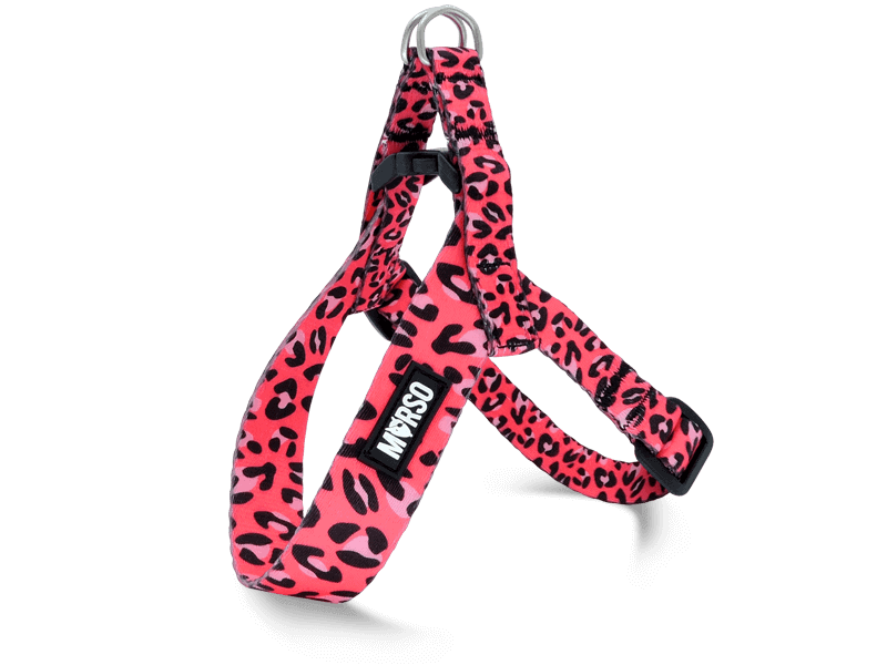 Pettorina mini regolabile BUBBLE LEO