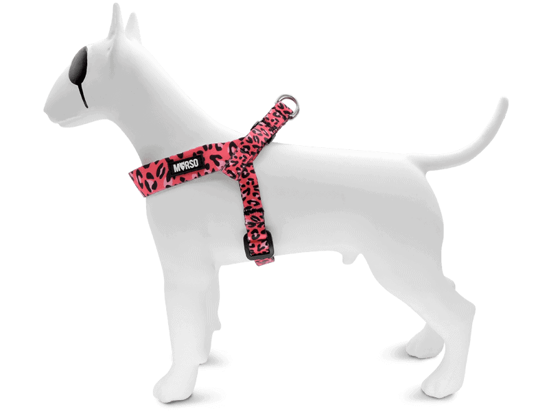 Pettorina mini regolabile BUBBLE LEO