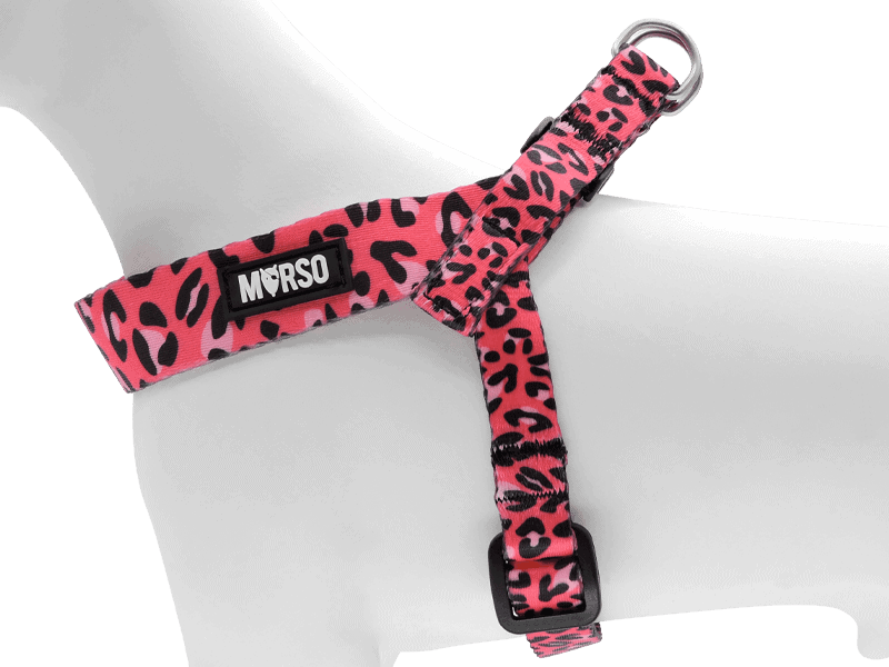 Pettorina mini regolabile BUBBLE LEO