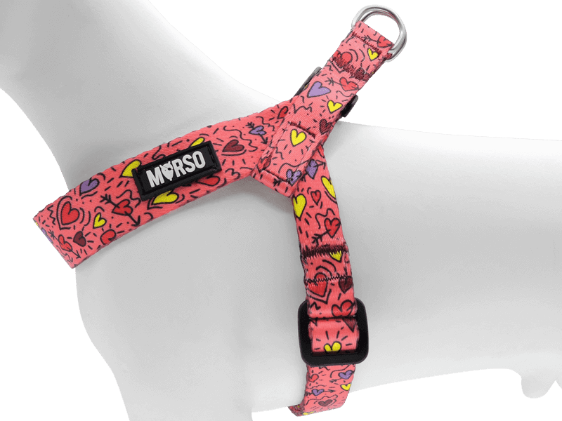 Pettorina mini regolabile PINK THINK