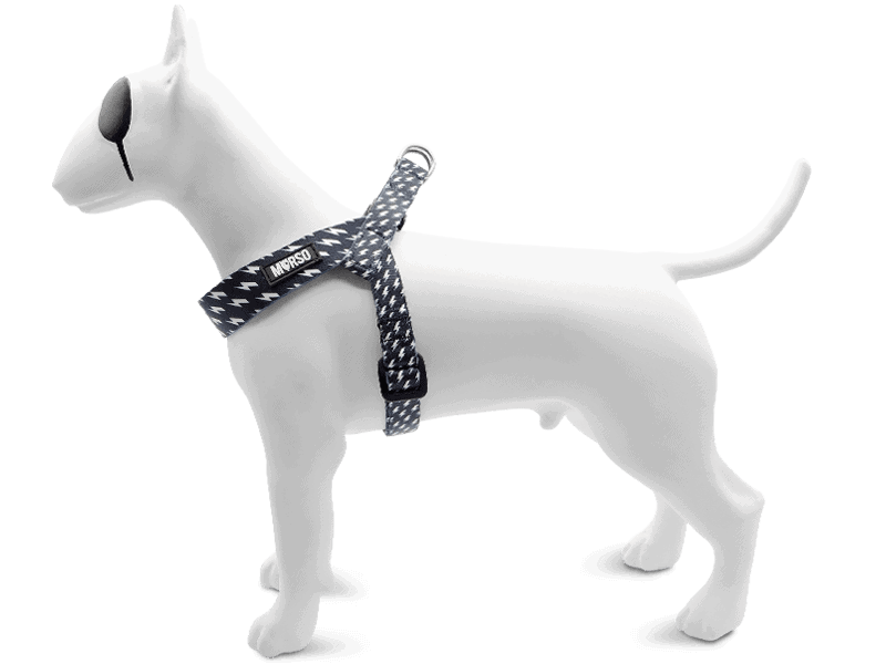 Pettorina mini regolabile POWER FLOW