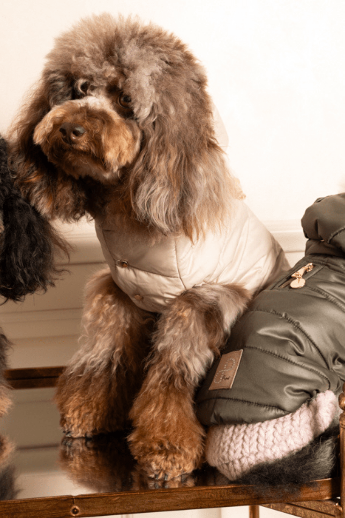 PIUMINO CON ORSETTO BEIGE