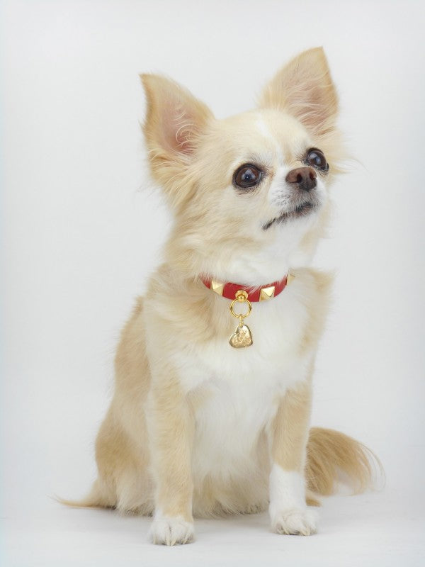 STUD COLLAR RED ECOLEATHER/GOLD