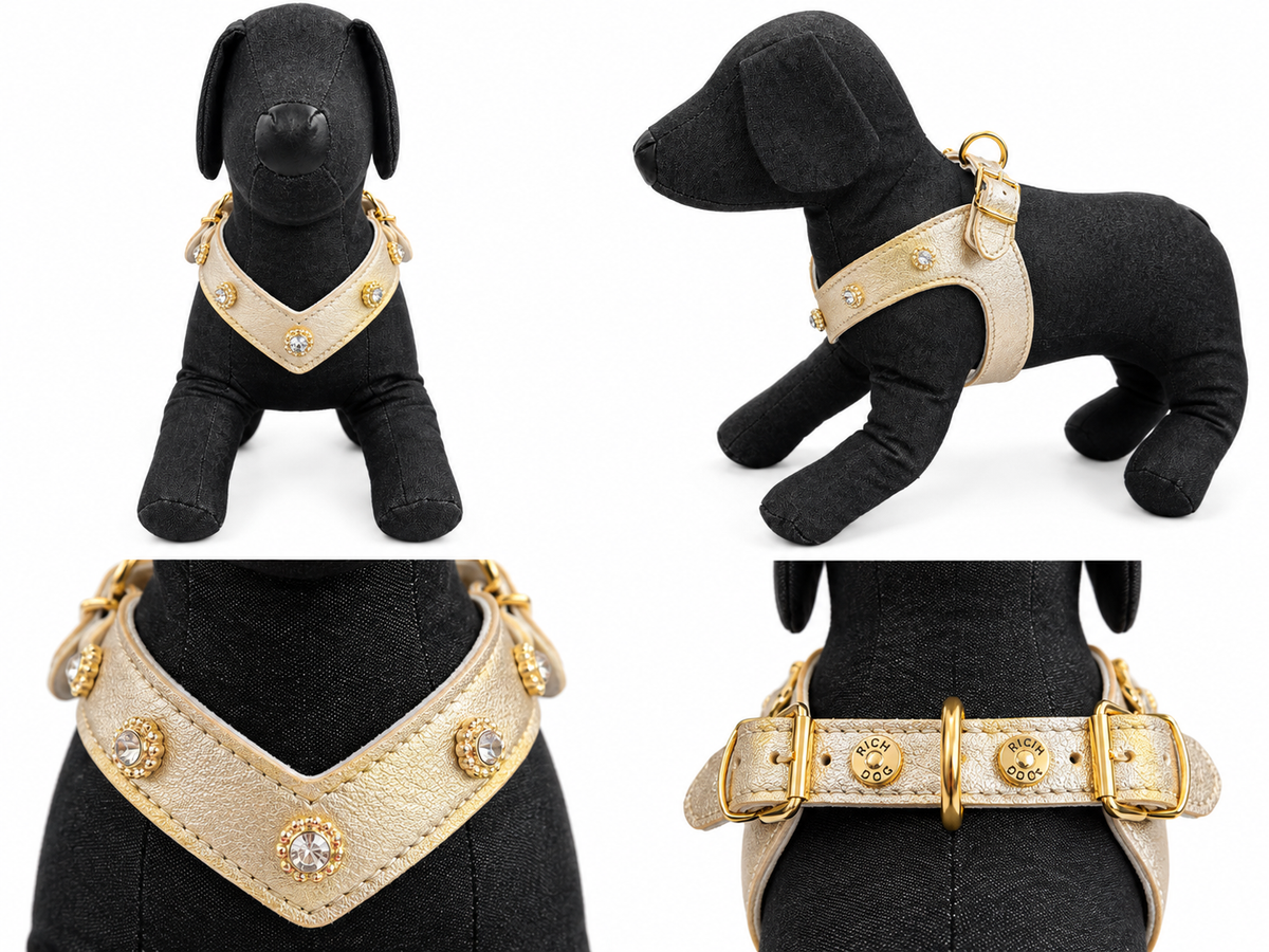 Pettorina in pelle in concia vegetale oro con strass e dettagli bianchi
