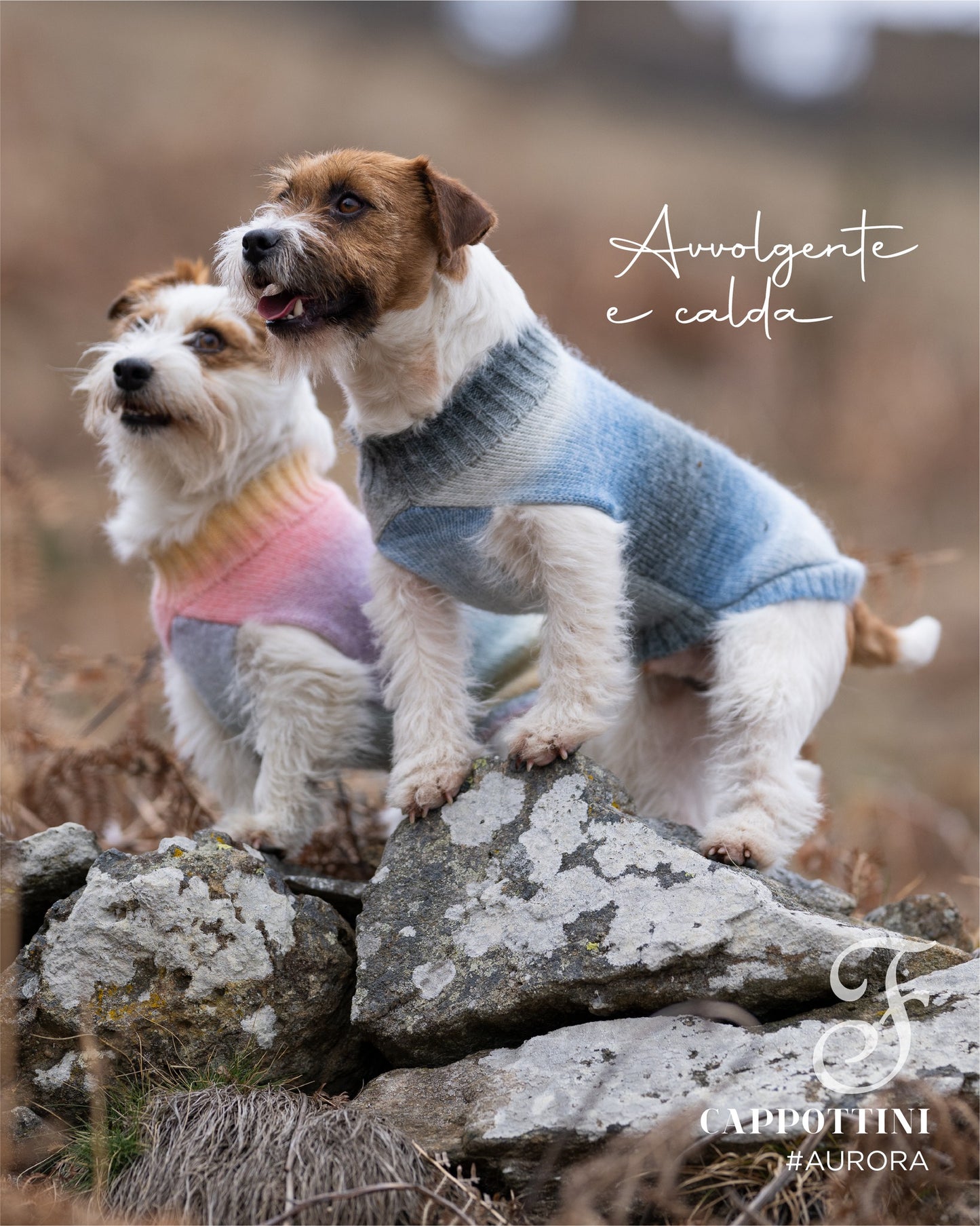 Dolcevita Aurora Rainbow