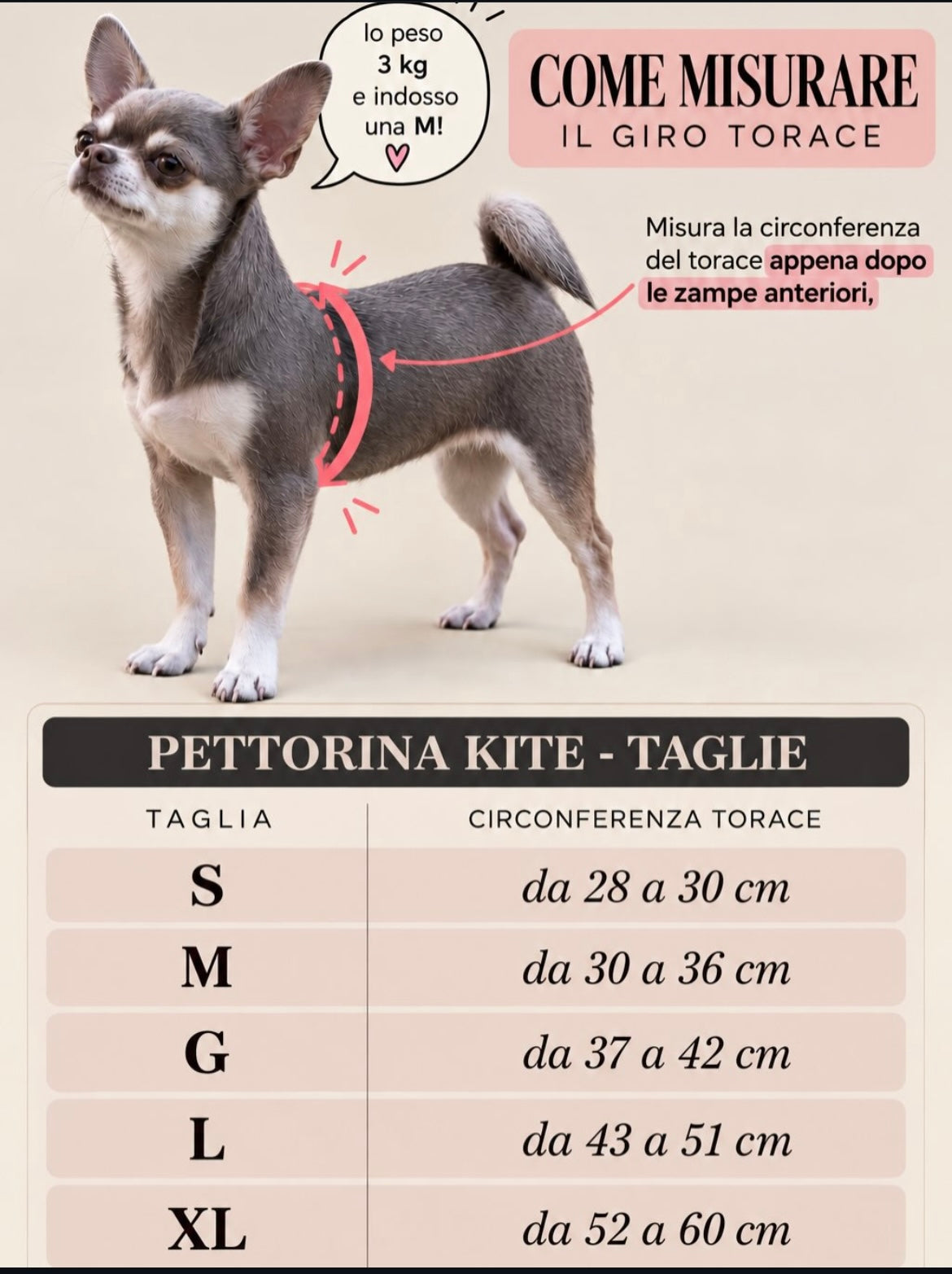 Pettorina in pelle in concia vegetale oro con strass e dettagli bianchi