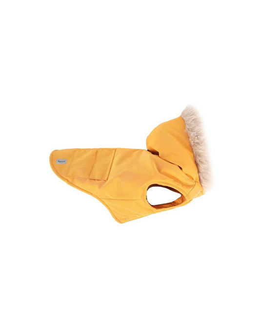 Cappottino Polar