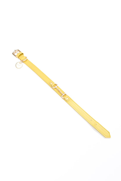 Collare con morsetto oro