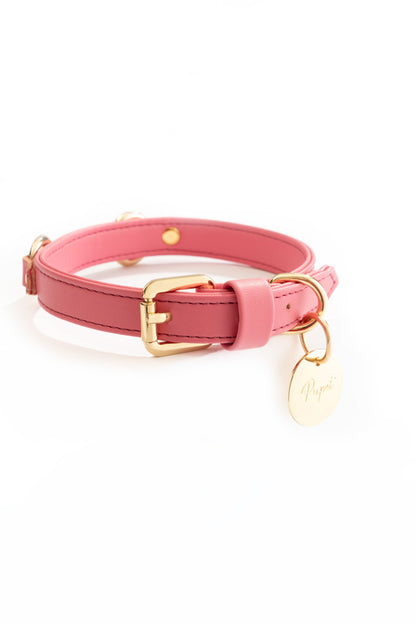 Collare con morsetto oro
