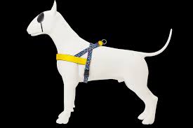 Pettorina Norvegese Color Inveders