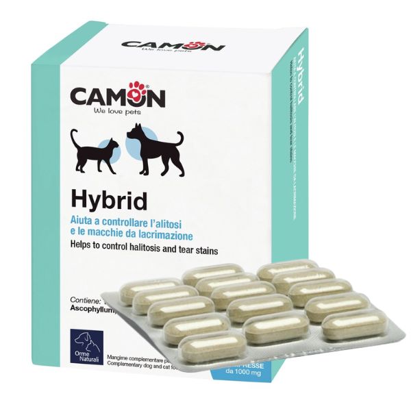 Hybrid compresse