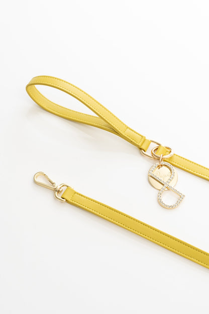 Guinzaglio con logo oro