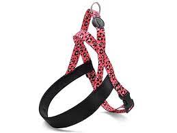 Pettorina Norvegese Bubble Leo