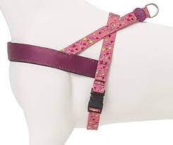 Pettorina Norvegese Pink Think