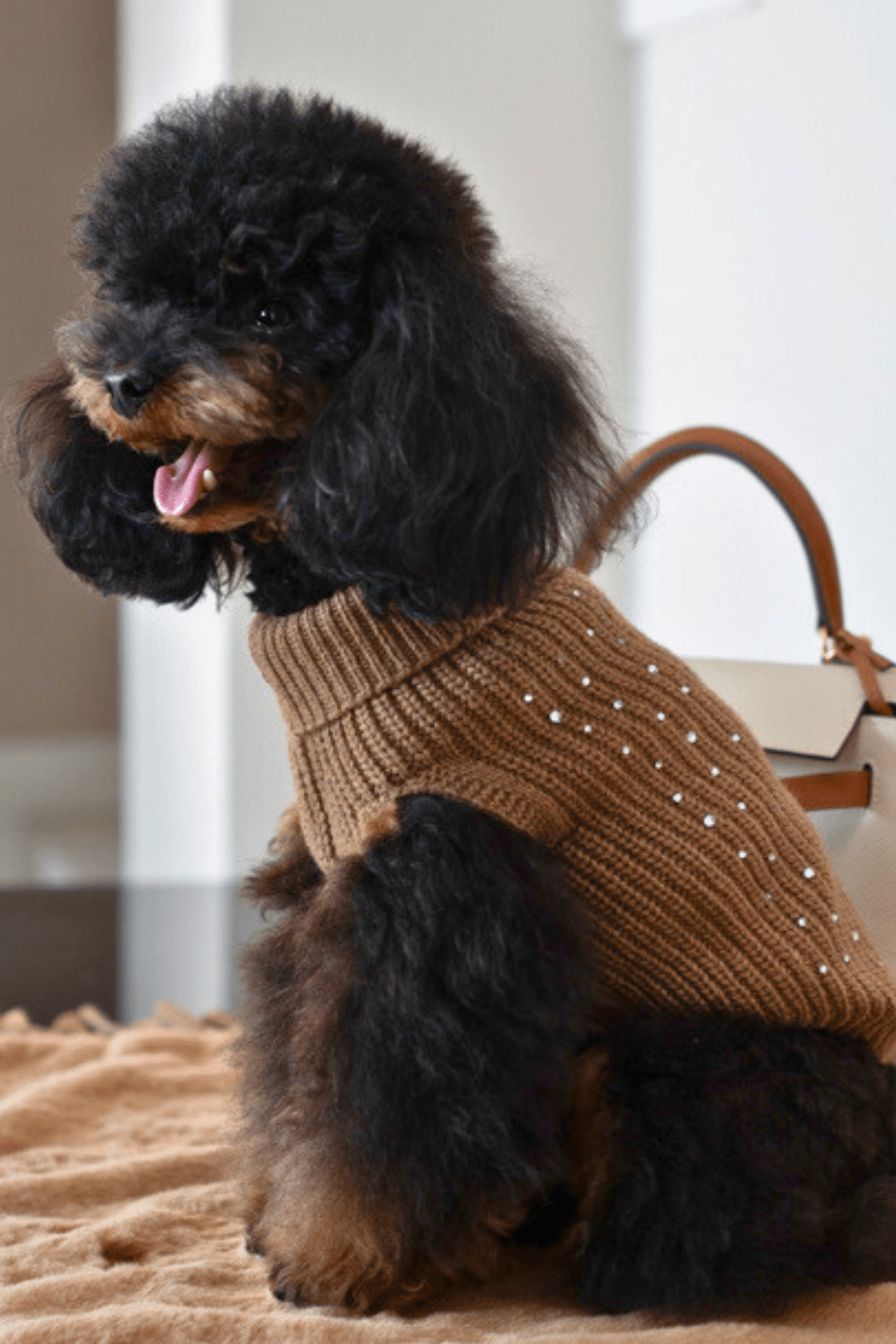 Maglioncino Strass Brillantini Marrone