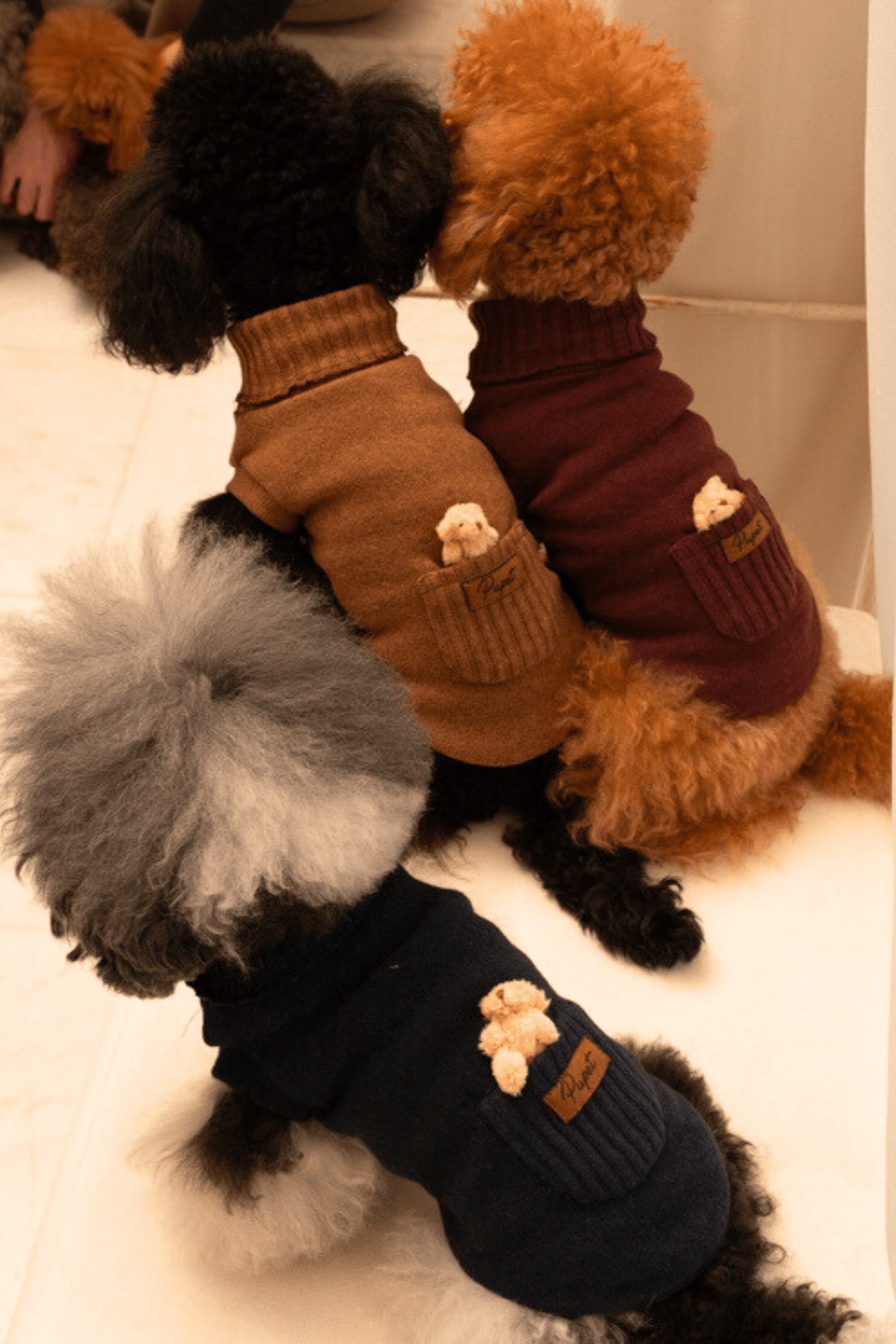 Maglioncino orsetto nel taschino Blu