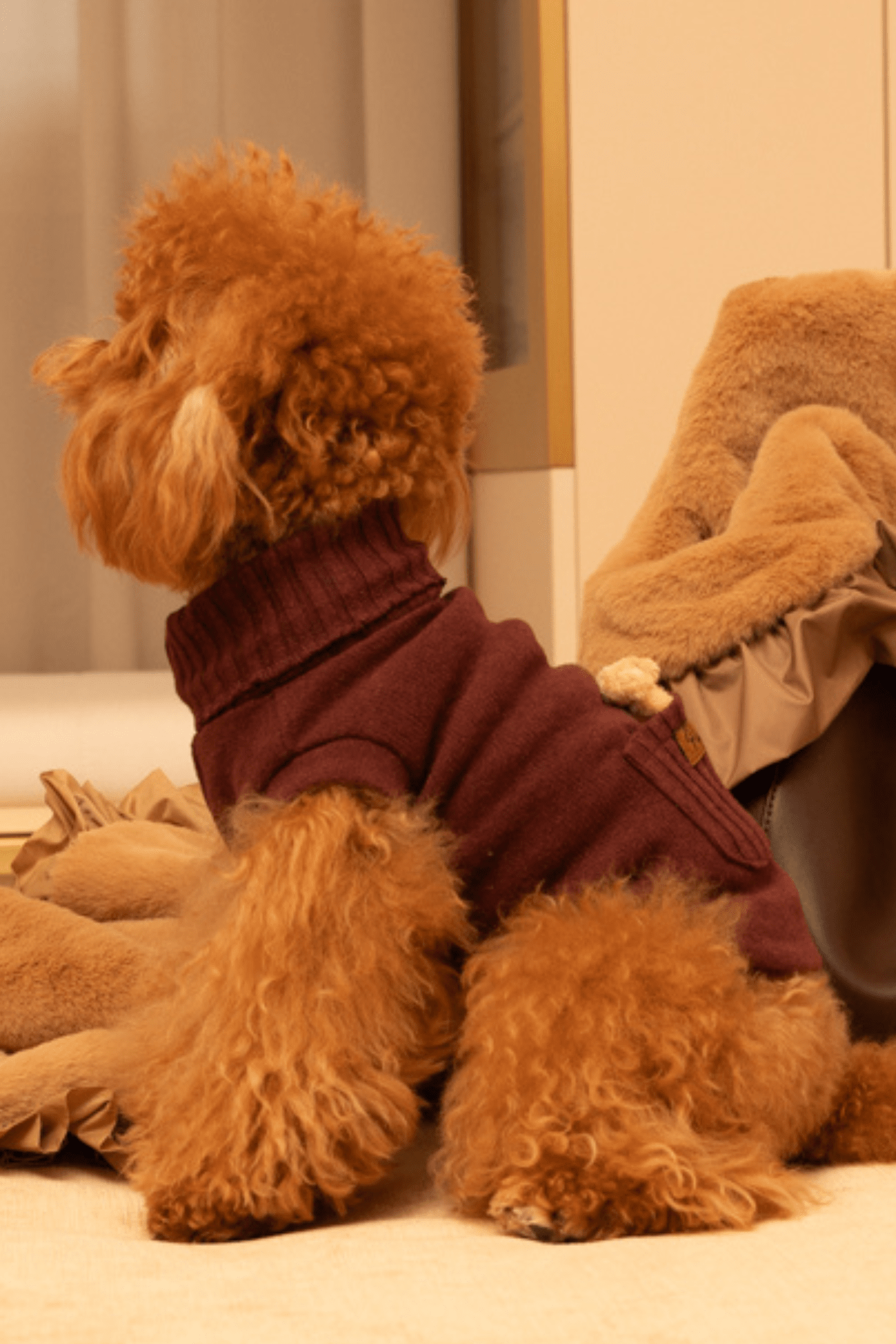 Maglioncino orsetto nel taschino Bordeaux