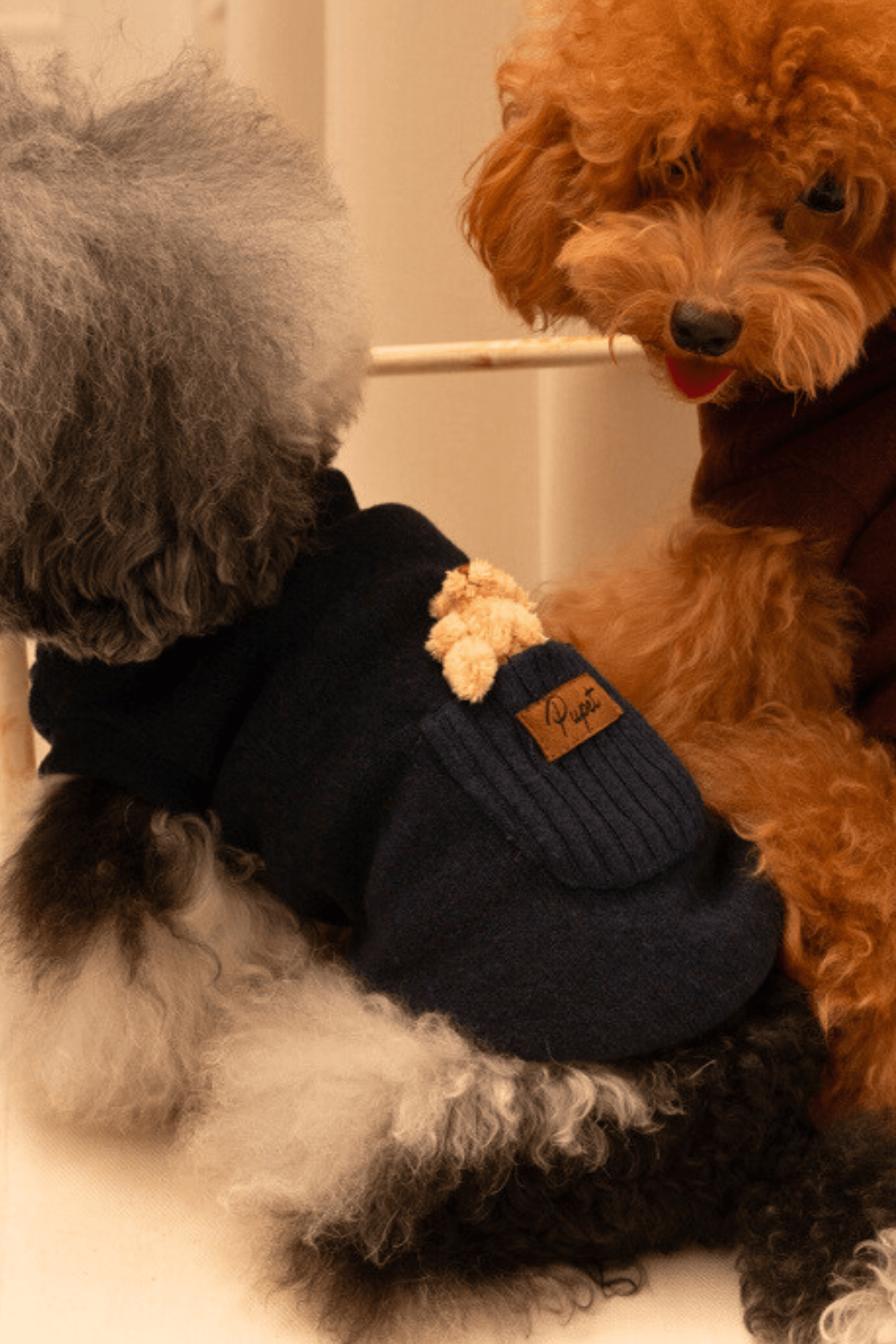 Maglioncino orsetto nel taschino Blu