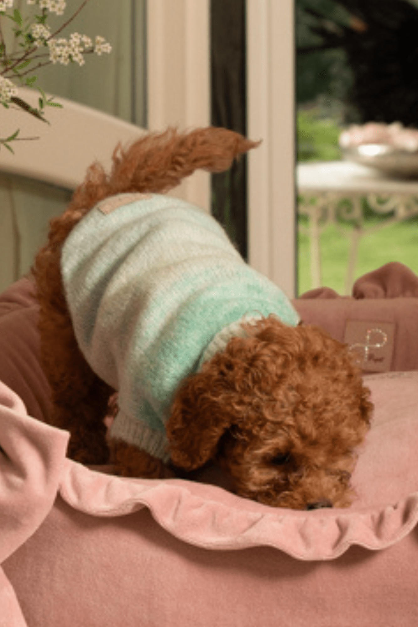 Maglioncino Sfumato Verde