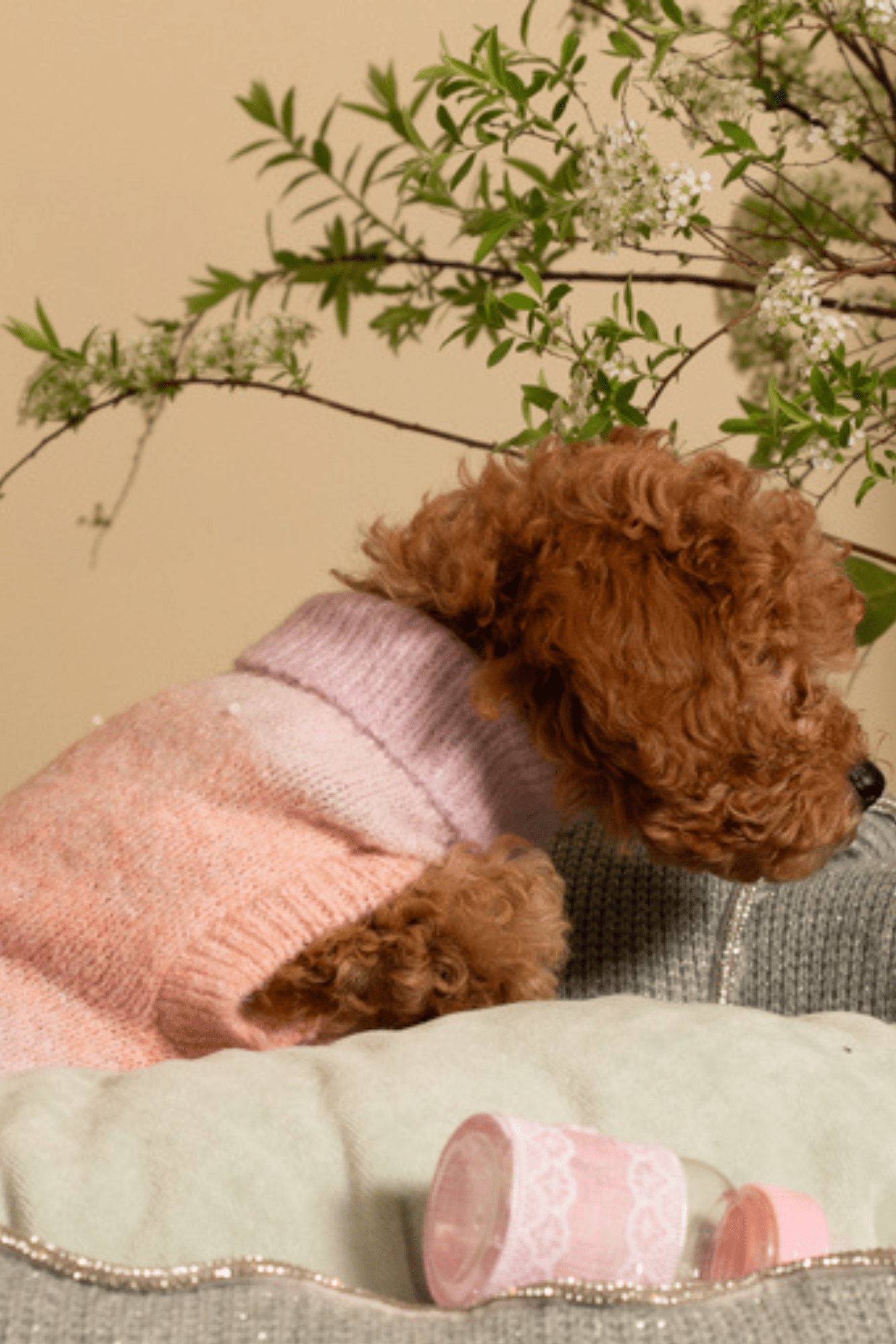 Maglioncino Sfumato Rosa