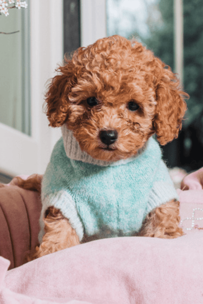 Maglioncino Sfumato Verde