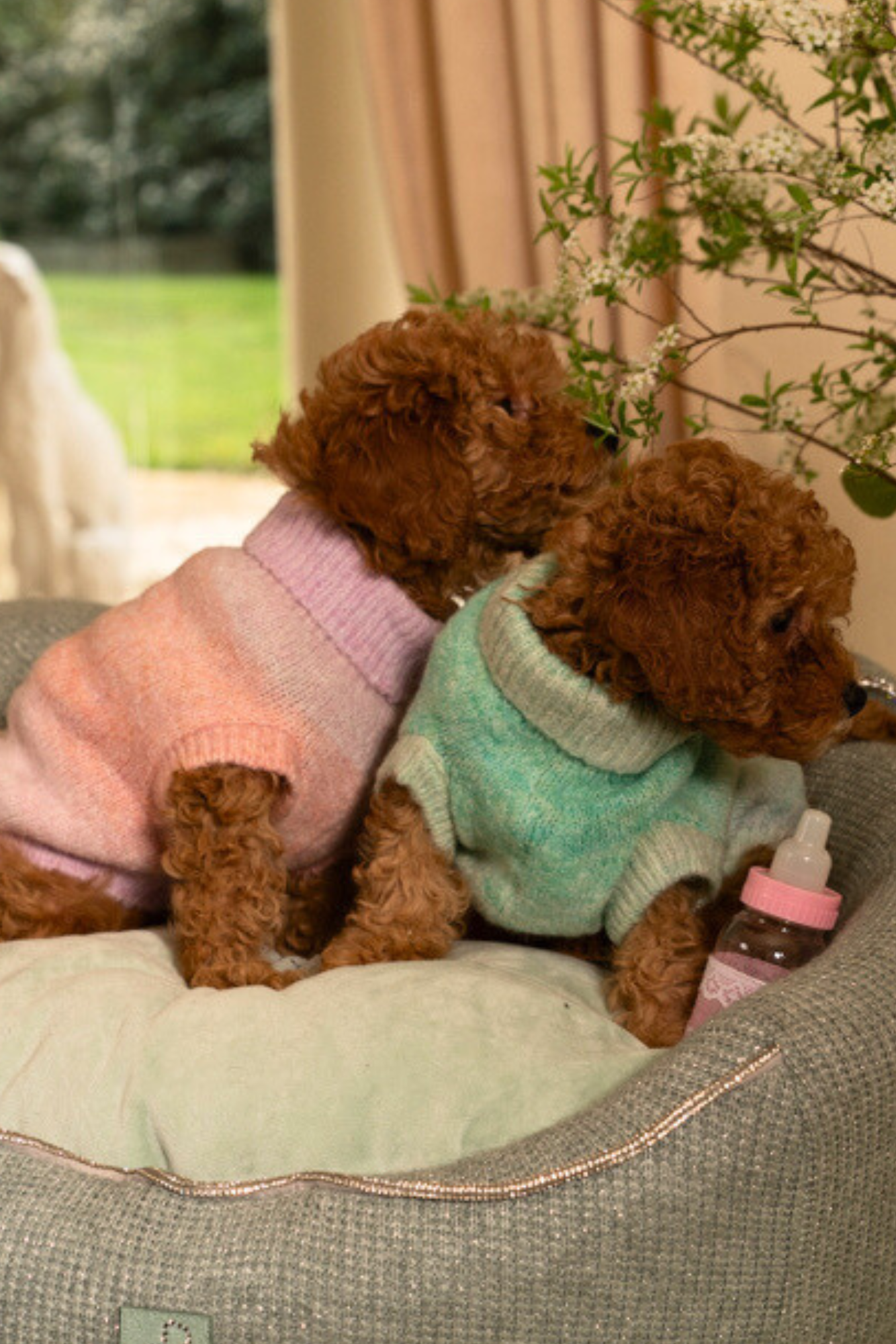 Maglioncino Sfumato Verde