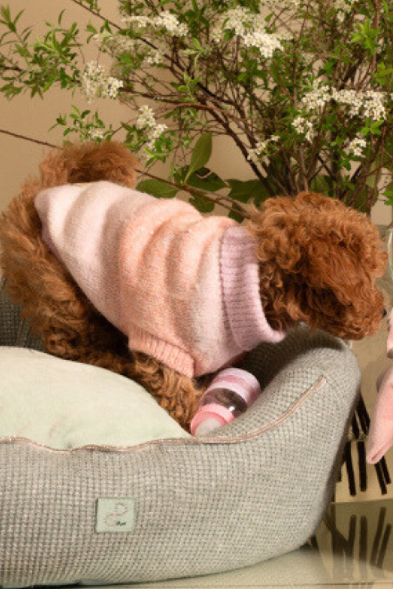 Maglioncino Sfumato Rosa