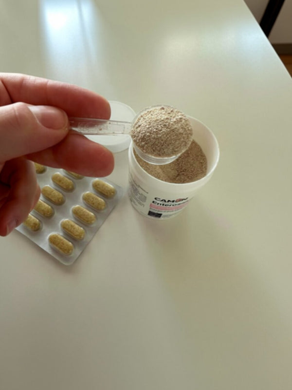 Mangimi complementari