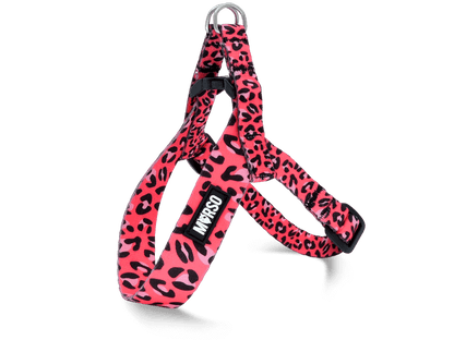 Pettorina mini regolabile BUBBLE LEO
