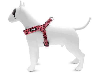 Pettorina mini regolabile BUBBLE LEO