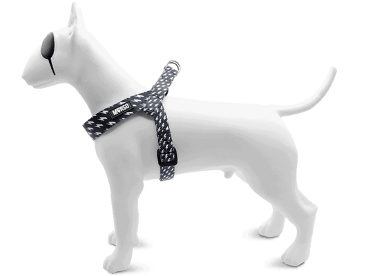 Pettorina mini regolabile POWER FLOW